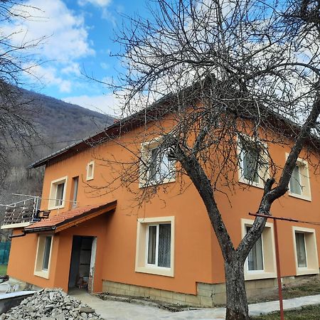 Guest House Lazar Raykov Ribarica Zewnętrze zdjęcie