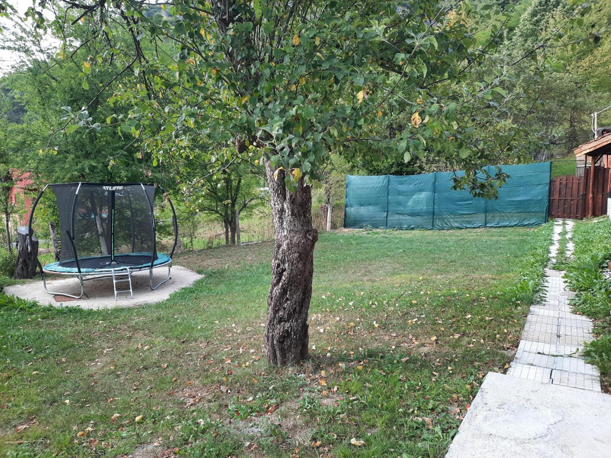 Guest House Lazar Raykov Ribarica Zewnętrze zdjęcie