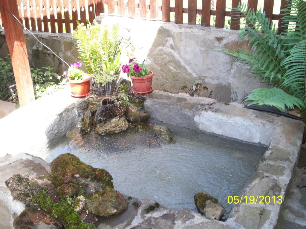 Guest House Lazar Raykov Ribarica Zewnętrze zdjęcie
